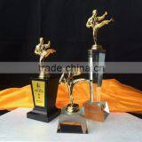 New Design Crystal Metal Martial Arts Trophy thumbnail-1