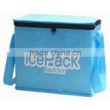 Promotion Picnic Insulated Drink Coolers Bag Can Reusable