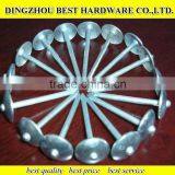 Roofing Nail With Umbrella Head thumbnail-5