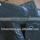 Birthday Tarpaulin Printing Size for PE Tarpaulin Buyer