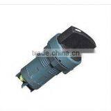 Pushbutton Switch XB7-BD25