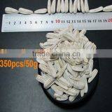 dried raw white sunflower seeds buy sunflower husk pellets