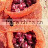 HOT SALE/ BEST QUALITY RED ONIONS Export to Any Country thumbnail-4
