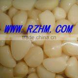 Supply Salted Garlic thumbnail-1