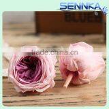 Fresh Cut Roses Preserved Fresh Flower Asuting Rose For Wedding Decoration thumbnail-6