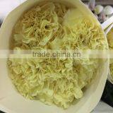 Carnation Cut Flowers thumbnail-5