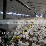 Light Steel Structure Poultry Farm House /Chicken Shed In Africa countries