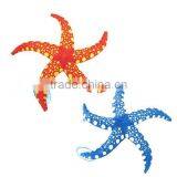 Starfish Plush Toy thumbnail-1