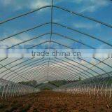Commercial Tunnel Greenhouse Shade House thumbnail-2