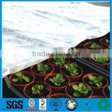 PP Spunbond Nonwoven Fabric Polipropileno Crop Cover With UV Resistant thumbnail-2