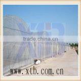 Agriculture Multi Span Plastic Film Greenhouse thumbnail-1