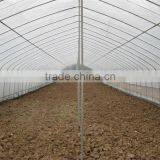 High Quality Tunnel Greenhouse With the Type of Plastic Tunnel thumbnail-5