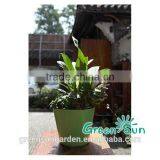 Palstic Garden Flower Pot thumbnail-2