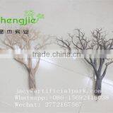 SJLJ01169 Artificial Tree Branch Without Leaves for Decoration thumbnail-4