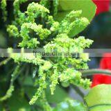 Home and Outdoor Garden Table Wedding Gate Decoration 60cm or 24inches Height Artificial 3 Heads Flowers E04 0625 thumbnail-5