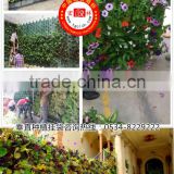 Hanging planting bag,Vertical Wall Garden Planting Bag,flower wall containers