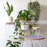 Indoor Outdoor Garden Metal Wire Flower Pot Plant Stand thumbnail-5