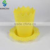 Colourful Flower Pot thumbnail-1