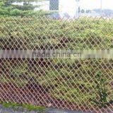 Flexible Willow Trellis thumbnail-1