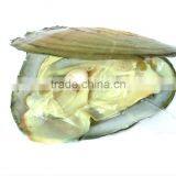 Nature Love Pearl Gift (ocean Pearl (red, Pink, Purple, Blue, Yellow) English and French Version) thumbnail-4