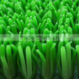 Long Service Life Gold- Rush Grass thumbnail-2