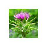 Milk Thistle Extracts