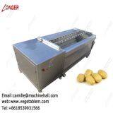 Fruit and Vegetable Washing and Peeling machine|Brush Washer|Potato Cleaning Machinery|Ginger Washing Machine Suppliers