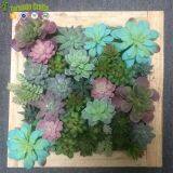 50*50cm Artificial Succulent Plants Plastic Ferns Green Grass Photo Frame Wall Decoration Flowers Home thumbnail-1