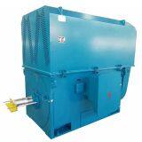 High Voltage Squirrel Cage Induction Motor thumbnail-2