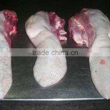 frozen buffalo tongue, Beef Tongue