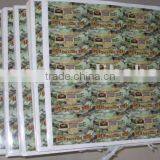 Gloss Lamination Adhesive Sticker in Roll