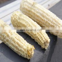 Dried Corn cob From Vietnam