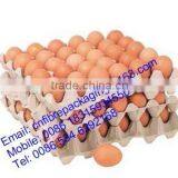 Eco-friendly molded paper pulp egg tray factory