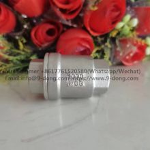 stainless steel check valve checkvalve 1000WOG 1000PSI bsp SS316