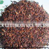 Black Glutinous Rice thumbnail-1