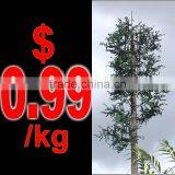 Polygonal Landscape Communication Tower Company Hot Dip Galvanization thumbnail-1