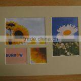 Four Window Popular Collage Mat for Picture Frames, Acid Free Pre Cut Mount Board