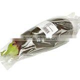 BOPP FILM thumbnail-2