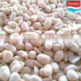 Blanched Peanut Kernel