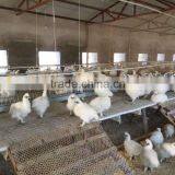 Poultry Farms Equipment, Animal Husbandry Equipment, Plastic Floor Beams for Pig Farming Equipment thumbnail-2