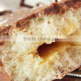 2015 Dongxuya Low Price Automatic Chocolate Coating Production Line