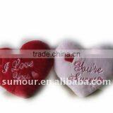 Valentine and Light Heart Pillow