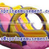 Personal Tailor Giant Inflatable Water Slide for Kids, Inflatables SP-SL066