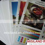 High Quality Inkjet Glossy Cast Coated Photo Paper 180gsm