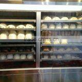 Quickly Dim Sum/ Hot Food Warmer Showcase With Lighting thumbnail-2