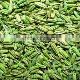 Dried Green Fennel Seeds
