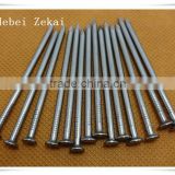 25kg/carton factory common nails with high quality