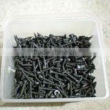 hot sale high quality of black drywall screw nail