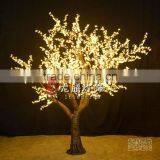 Popular LED Tree Lighting
