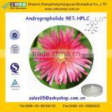 GMP Supplier provide 98% Andrographolide from Herba Andrographis P.E